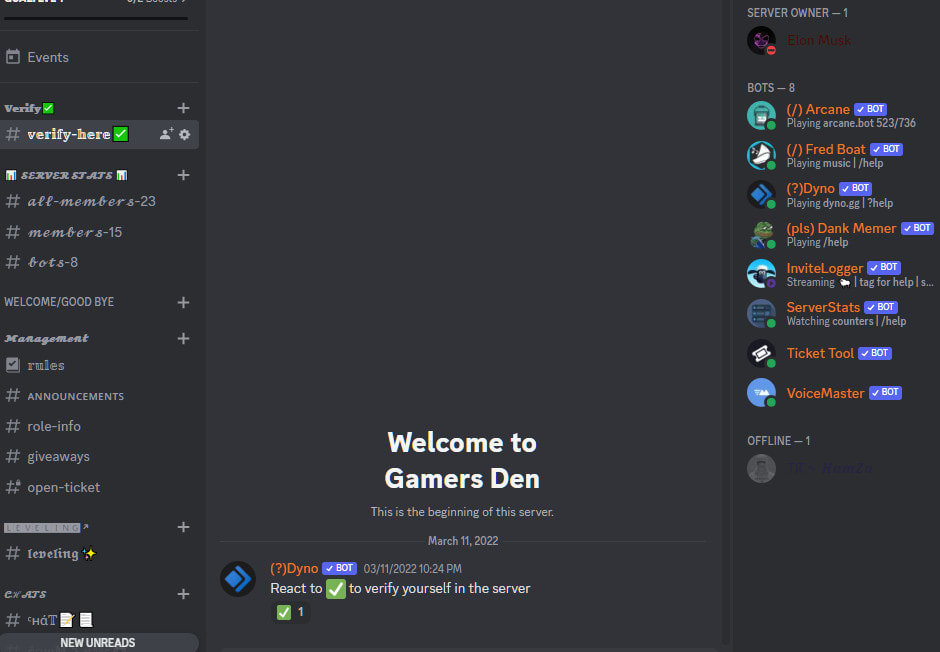 Im going to make you a wonderful discord server by B_zoe13