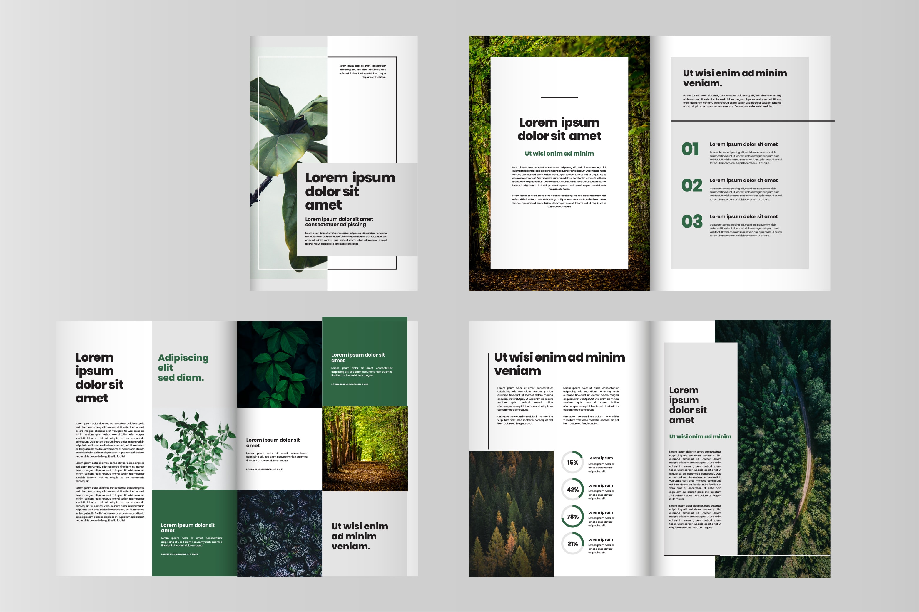 Design catalogs and magazine with adobe indesign by Sosographicske | Fiverr, image size:3126x2084