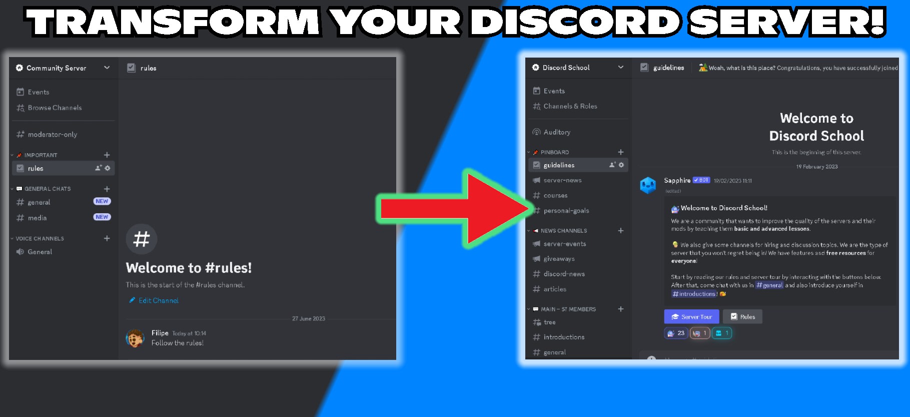 Setup custom professional discord server for you by Filipez803