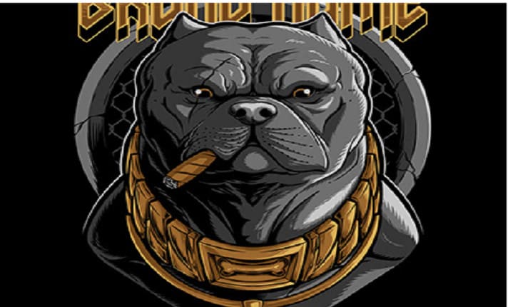 Logo for Bully: Anniversary Edition by fycher_