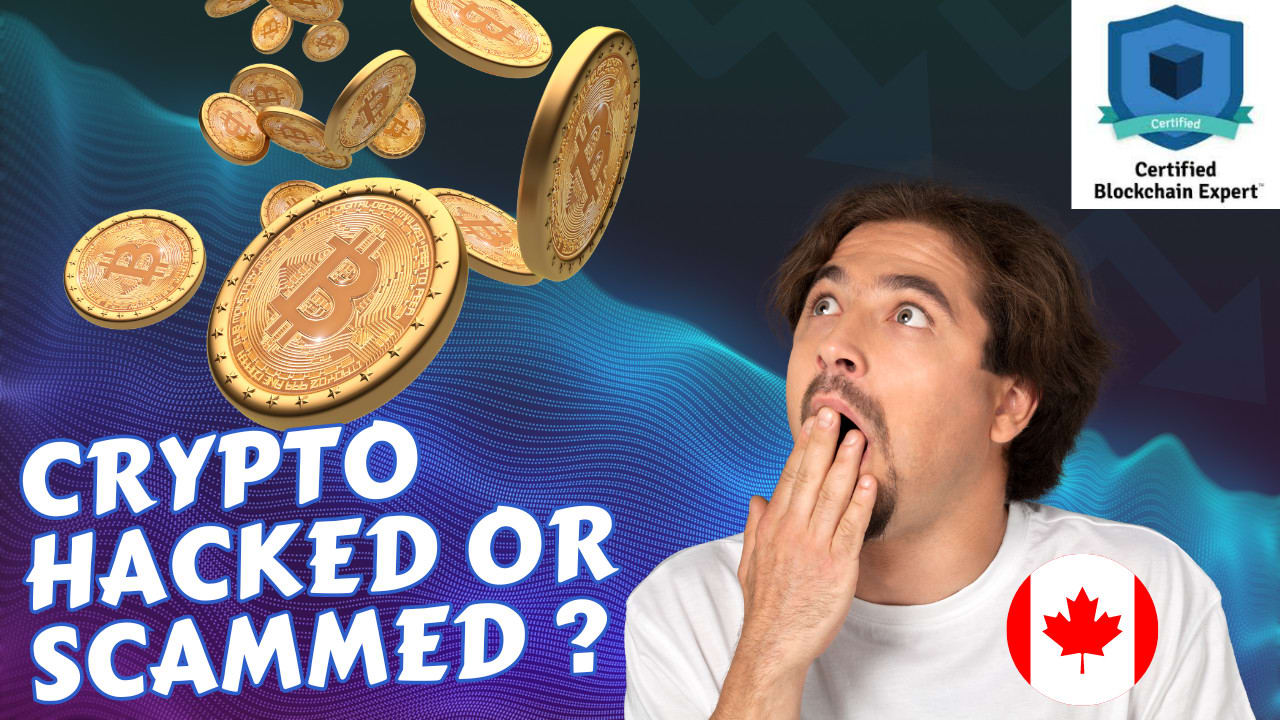 Be crypto coach expert for new investors by Terrancenibbles | Fiverr