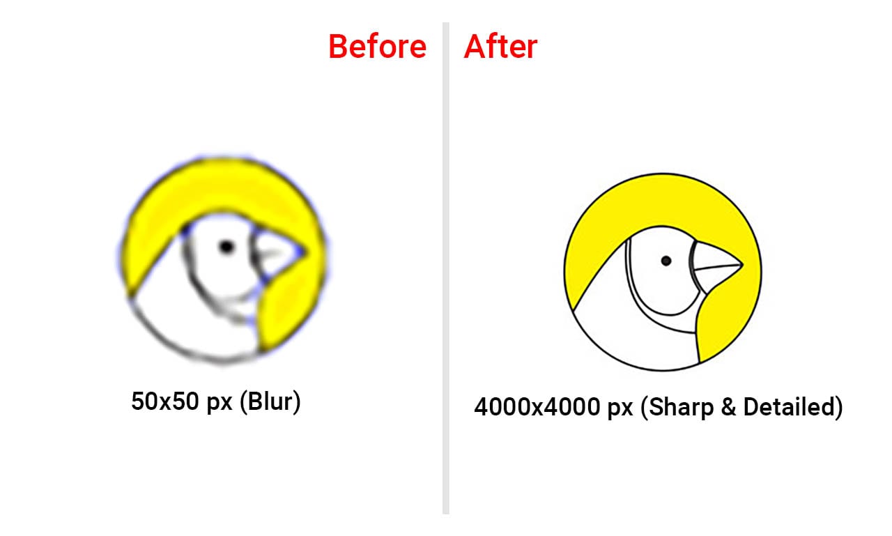 50x50 Pixels Converter