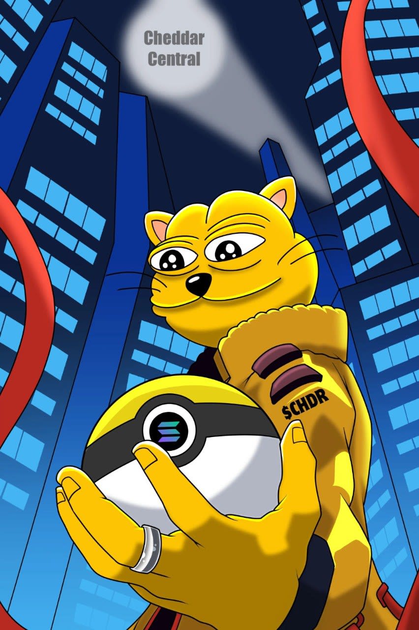 Do crypto meme coin art, solana art, pepe frog, wojak art, 2d meme coin  video by Dzzling9 | Fiverr