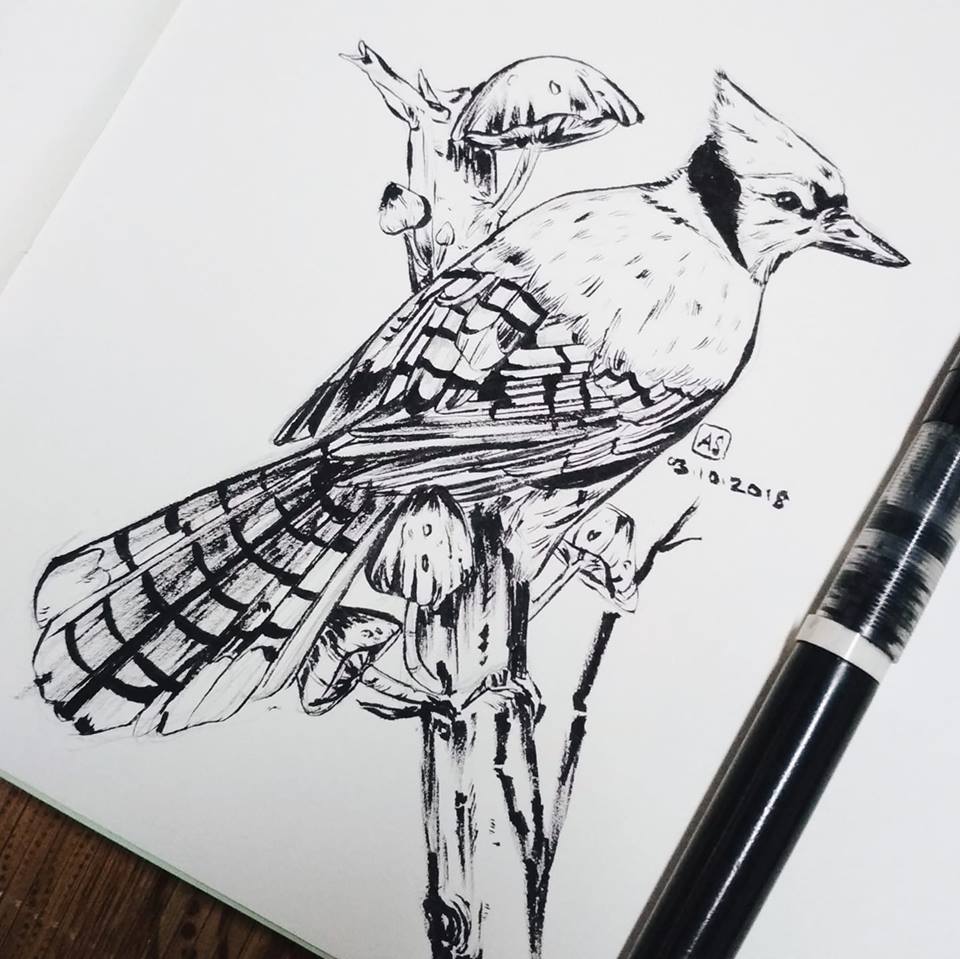 Bird Black Brush Pen Art LITTLE FRIEND Sumie Ink Brush Pen
