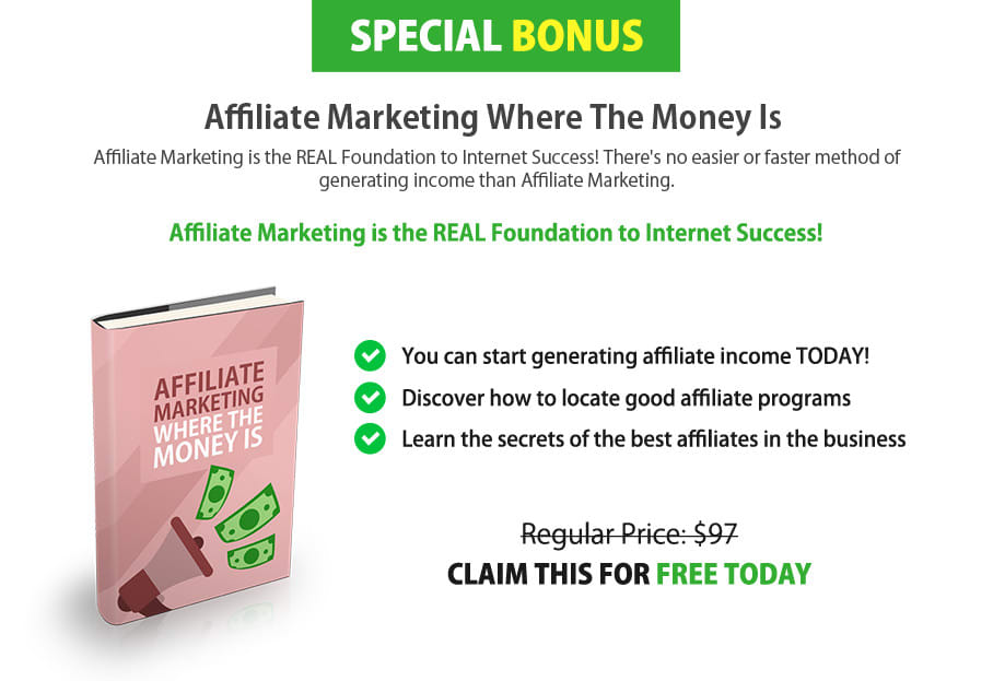 Selling Affiliate Products On Shopify Plr Ebooks Affiliate - 