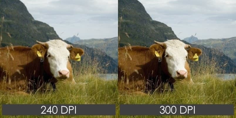 Is 240 Dpi High Resolution - Infoupdate.org