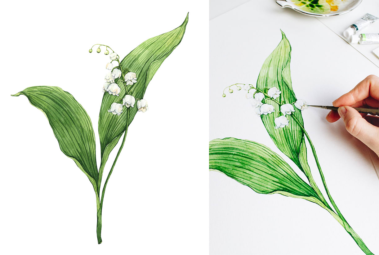 Paint watercolor flowers, botanical illustration by Annafarba | Fiverr