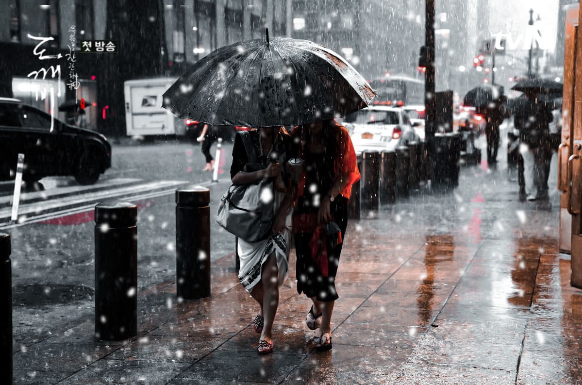 Korean Drama A Frozen Flower Dramacool Frozen Flower Korean Movie - Main Image