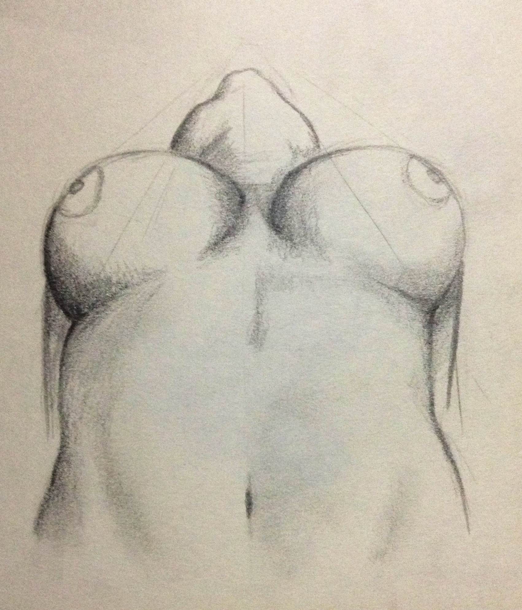 Nude Latina Drawing - Pencil sketches nude women.