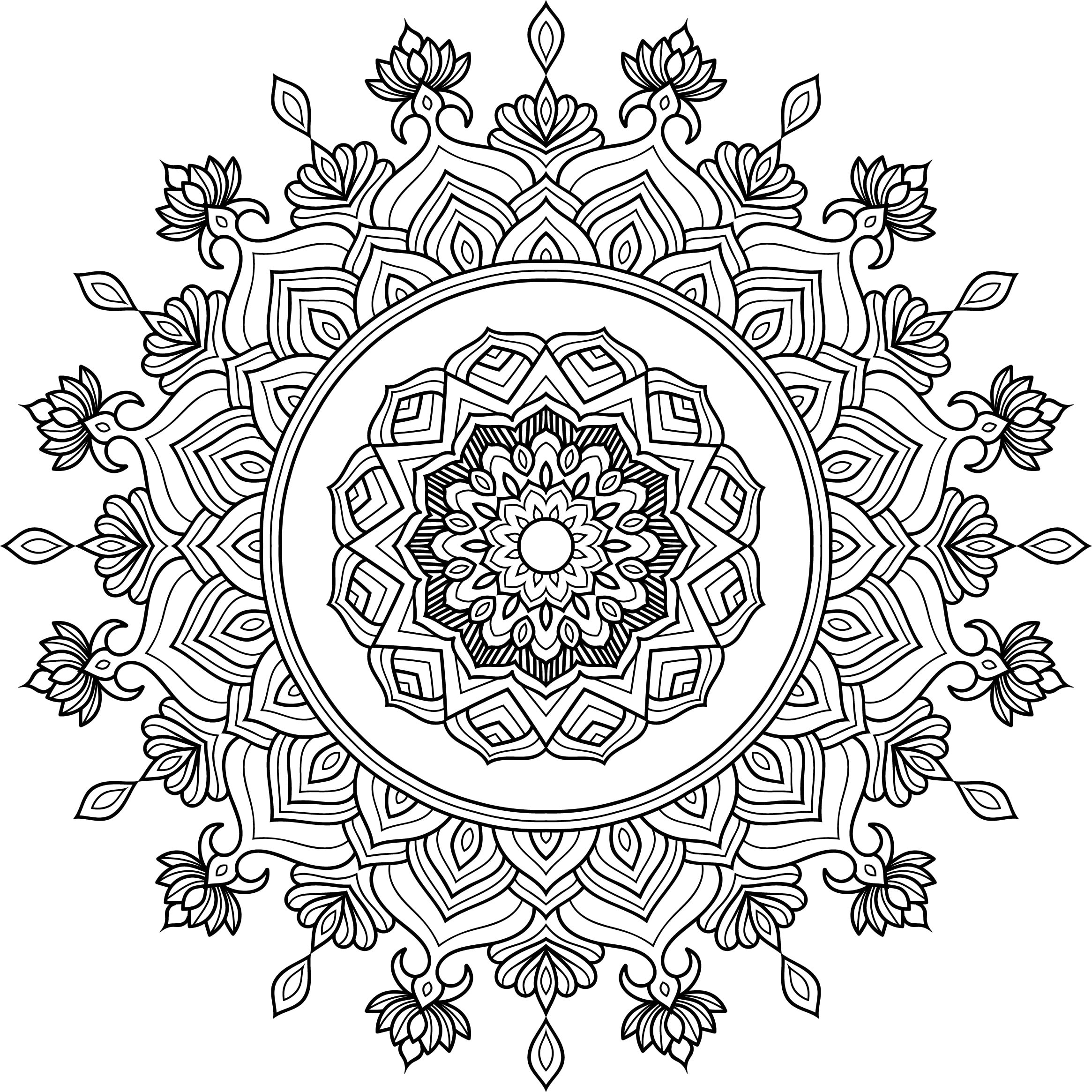 10 Bulk Mandala Adult Coloring Page KDP Graphic by zohuraakter524