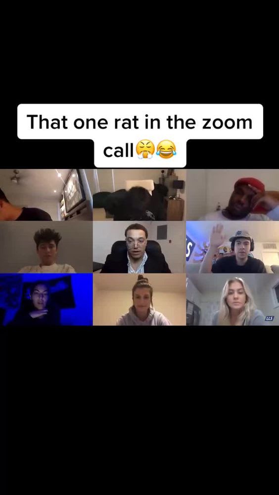 Call Fails Funny Zoom Meeting Fails Monitor Asus Tuf Tuf Gaming