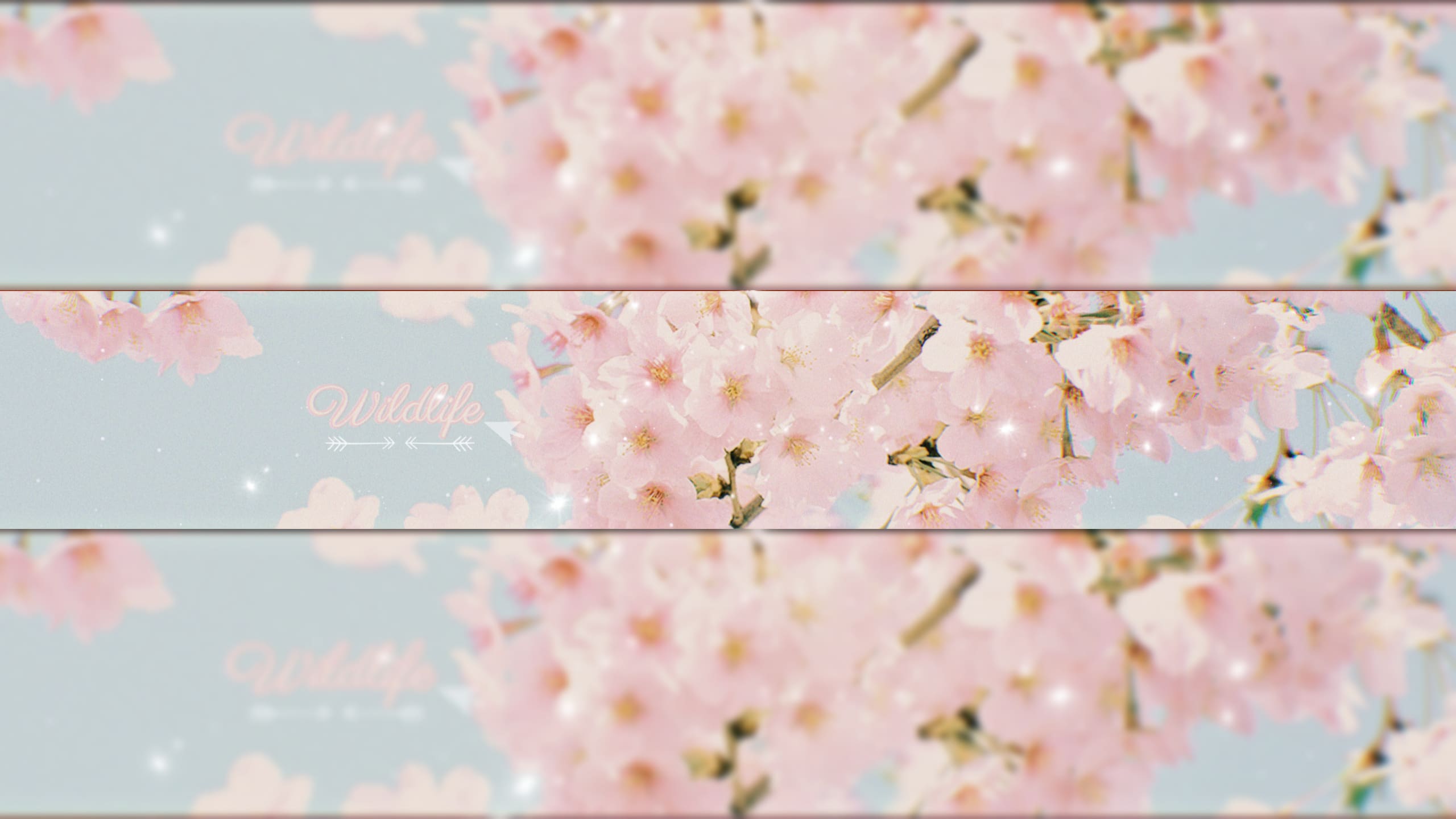 Buy Pink Anime Aesthetic Banner Pack 4 Animated Banners for Online in India   Etsy
