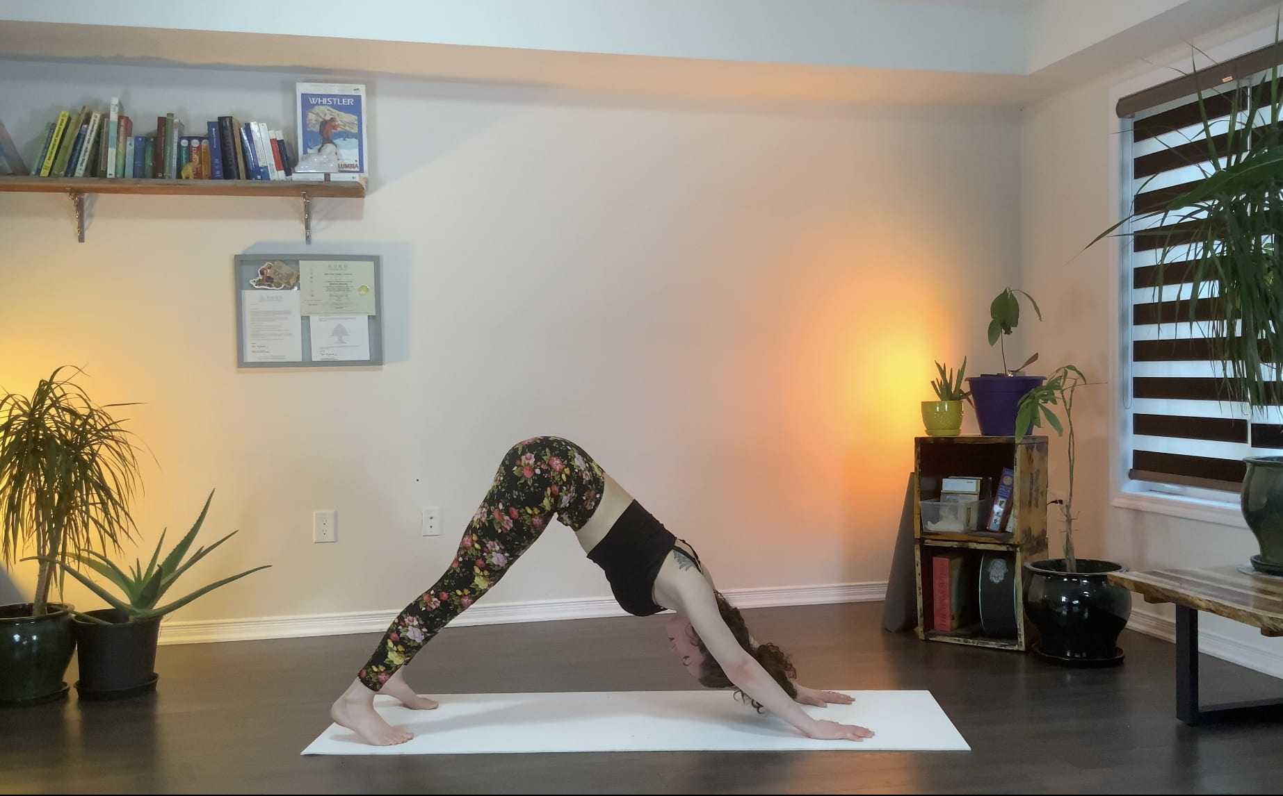 create a customized instructional yoga class video for you