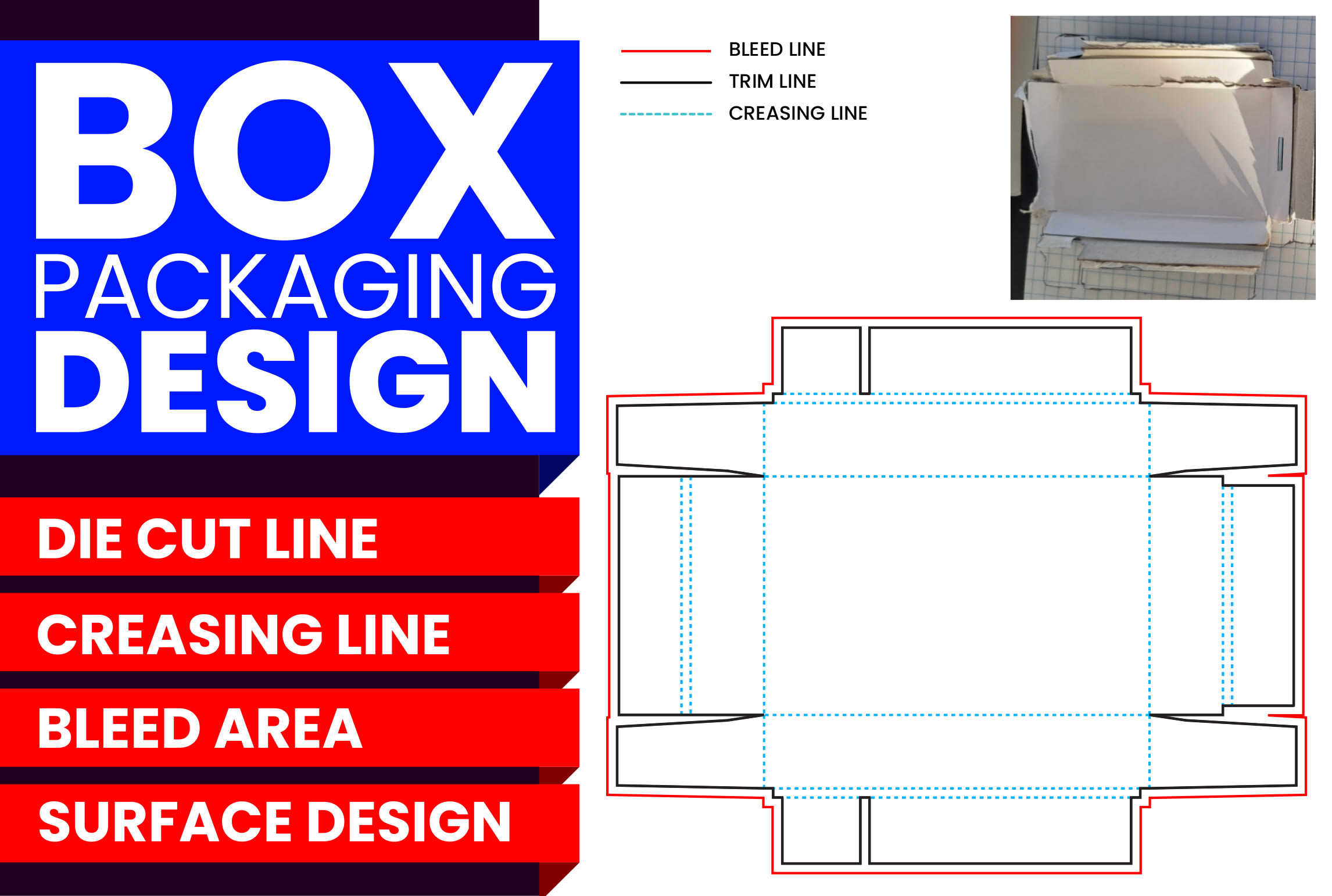boîte d'emballage design avec dieline, boîte en carton ondulé, conception  en carton, boîte de produit