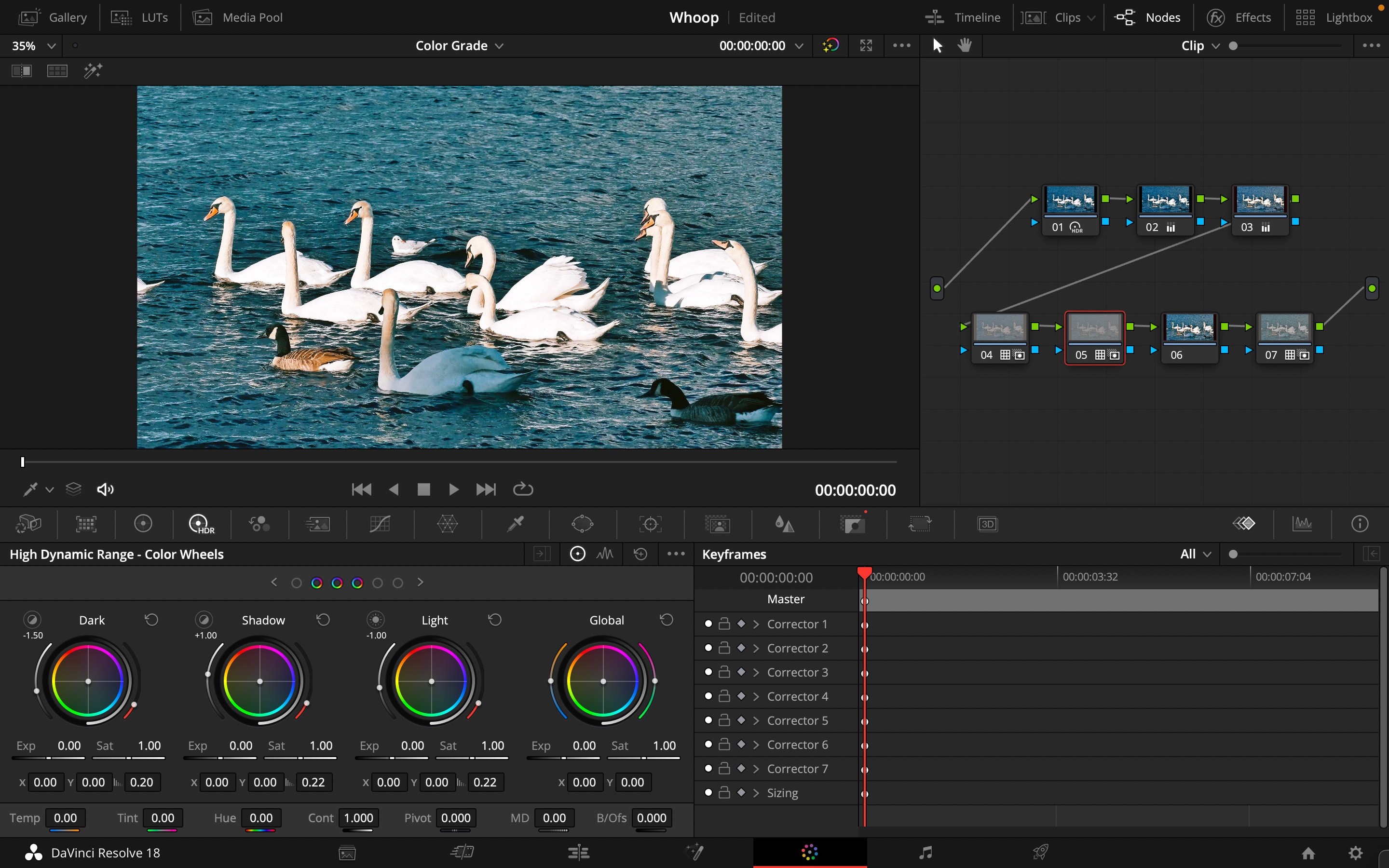 Do professional video color grading by Kushagra813 Fiverr