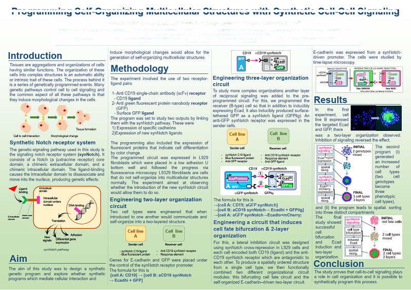 Progettare presentazioni di poster ppt per conferenze mediche creative con  infografica