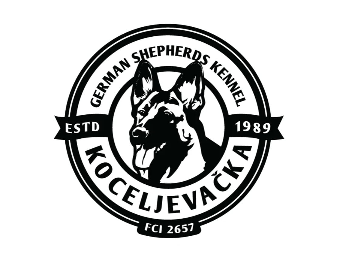 K9 Logo Design Exclusive Logo 899812, K9 Friendly Pet Logo