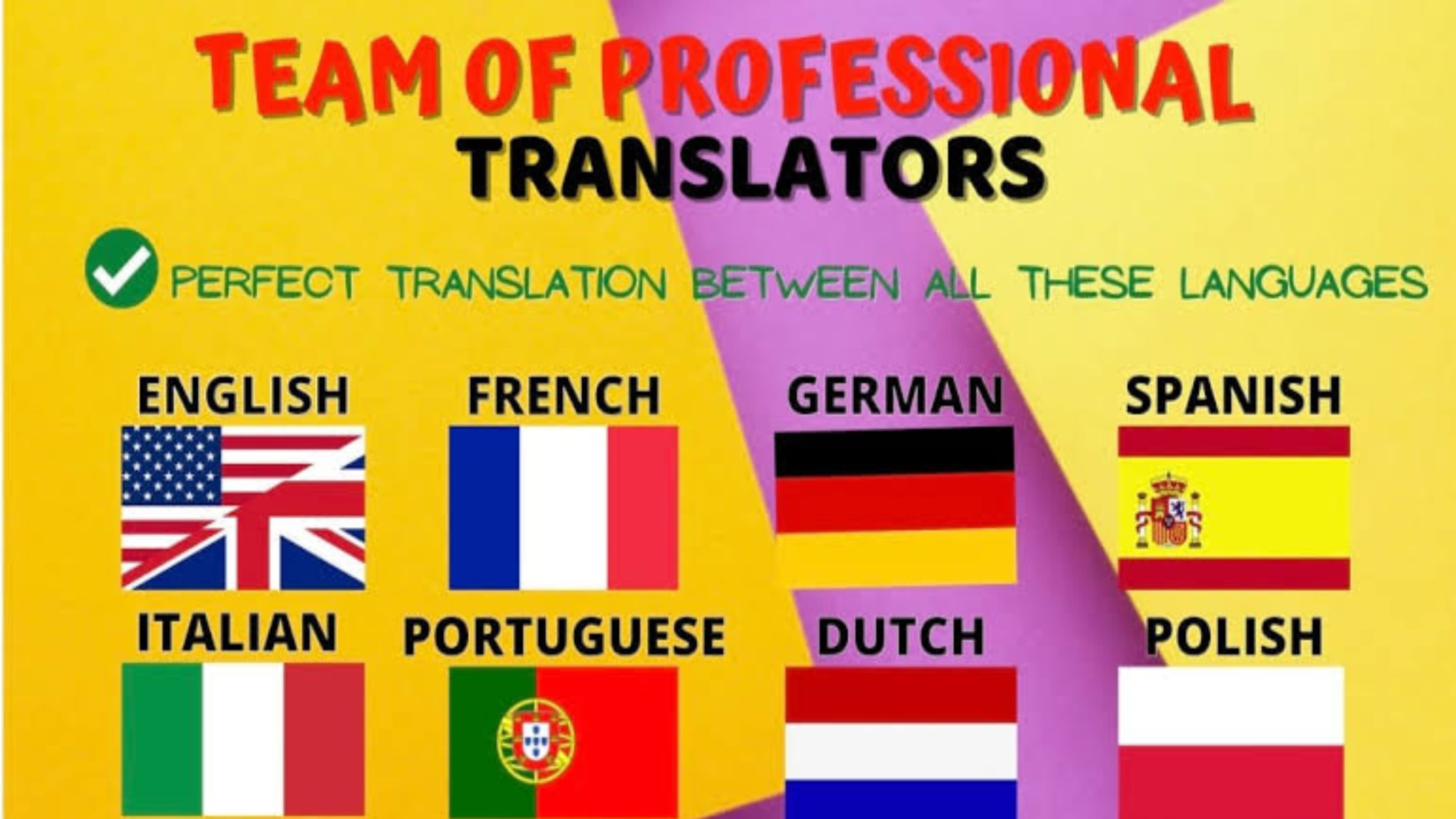 6 Language Translator Euro Convertor - German, French, Spanish, Italian,  Dutch