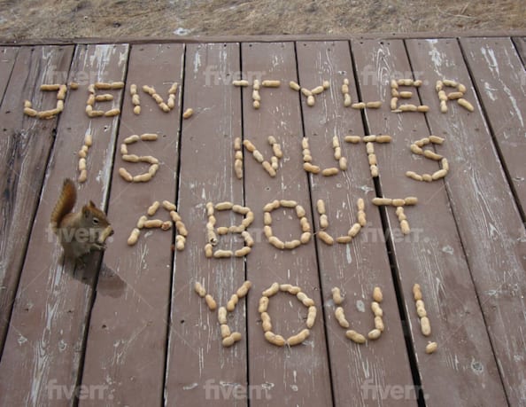 Photograph Your Message With Squirrels By Mudpuddlefarms