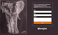 create modern landing page design