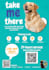 design flyer pet shop, pet grooming, pet store, pet clinic, etc