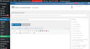 quick fix wordpress bug, design issue, server error, failure