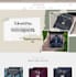 create automated shopify dropshipping store, shopify website aliexpress