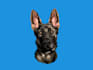 make vector illustration dog cat animal pet cartoon portrait