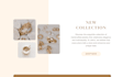 clone or design shopify landing page with pagefly, replo, gempages