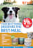 design flyer pet shop, pet grooming, pet store, pet clinic, etc