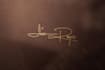 do handwriting autograph signature cursive photography name logo