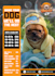 design flyer pet shop, pet grooming, pet store, pet clinic, etc