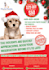 design flyer pet shop, pet grooming, pet store, pet clinic, etc