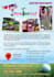 design flyer pet shop, pet grooming, pet store, pet clinic, etc