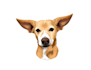 make vector illustration dog cat animal pet cartoon portrait