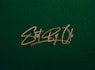 do handwriting autograph signature cursive photography name logo