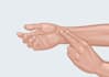 draw your medical illustration