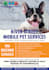 design flyer pet shop, pet grooming, pet store, pet clinic, etc