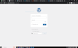 quick fix wordpress bug, design issue, server error, failure