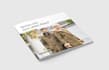 design stylish flyer, poster or magazine ad