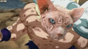 do face replacement, fast video and gif memes