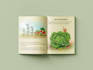 do children book, amazon, ingramspark, interior book formatting urgently