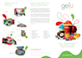 professional brochure, booklet, and corporate profile design
