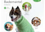 professional brochure, booklet, and corporate profile design