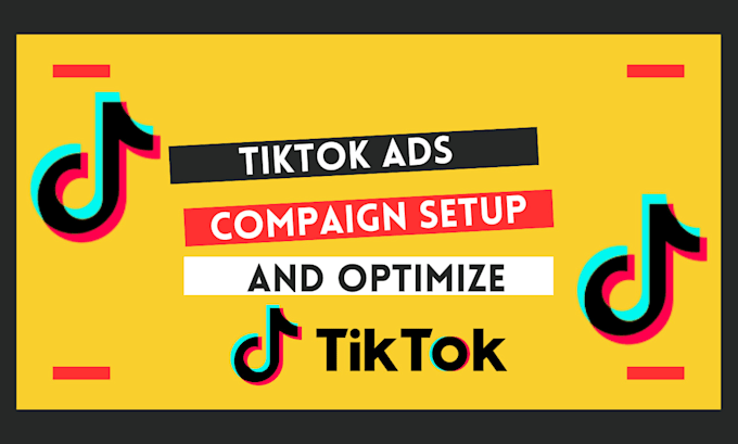 tiktok ad setup success