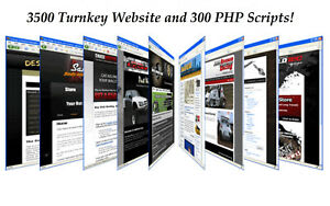 I Will Give You 3100 Turnkey Websites And PHP Scripts 