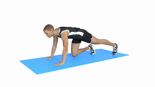 Provide stock fitness animations in close up style by Shadijohran | Fiverr