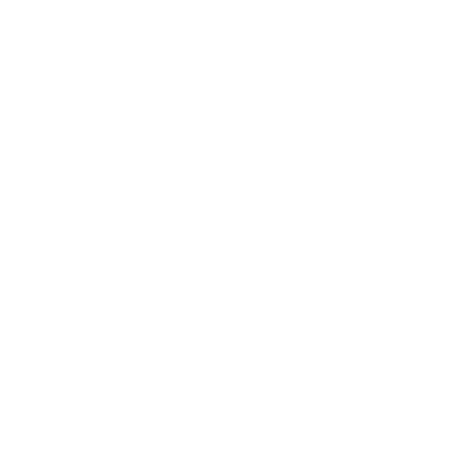 I will create a custom made animation for your logo - Image 3