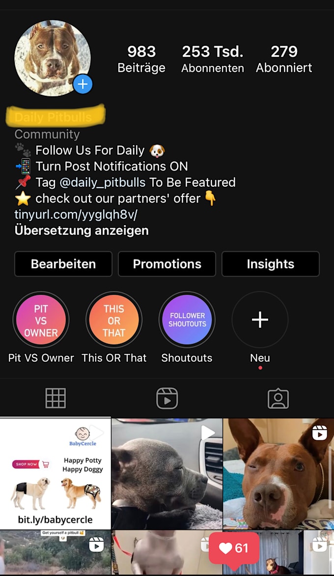 shoutout on my 230k instagram