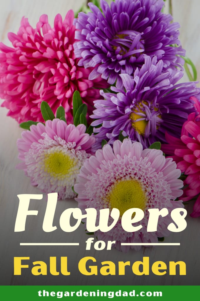 fiverr